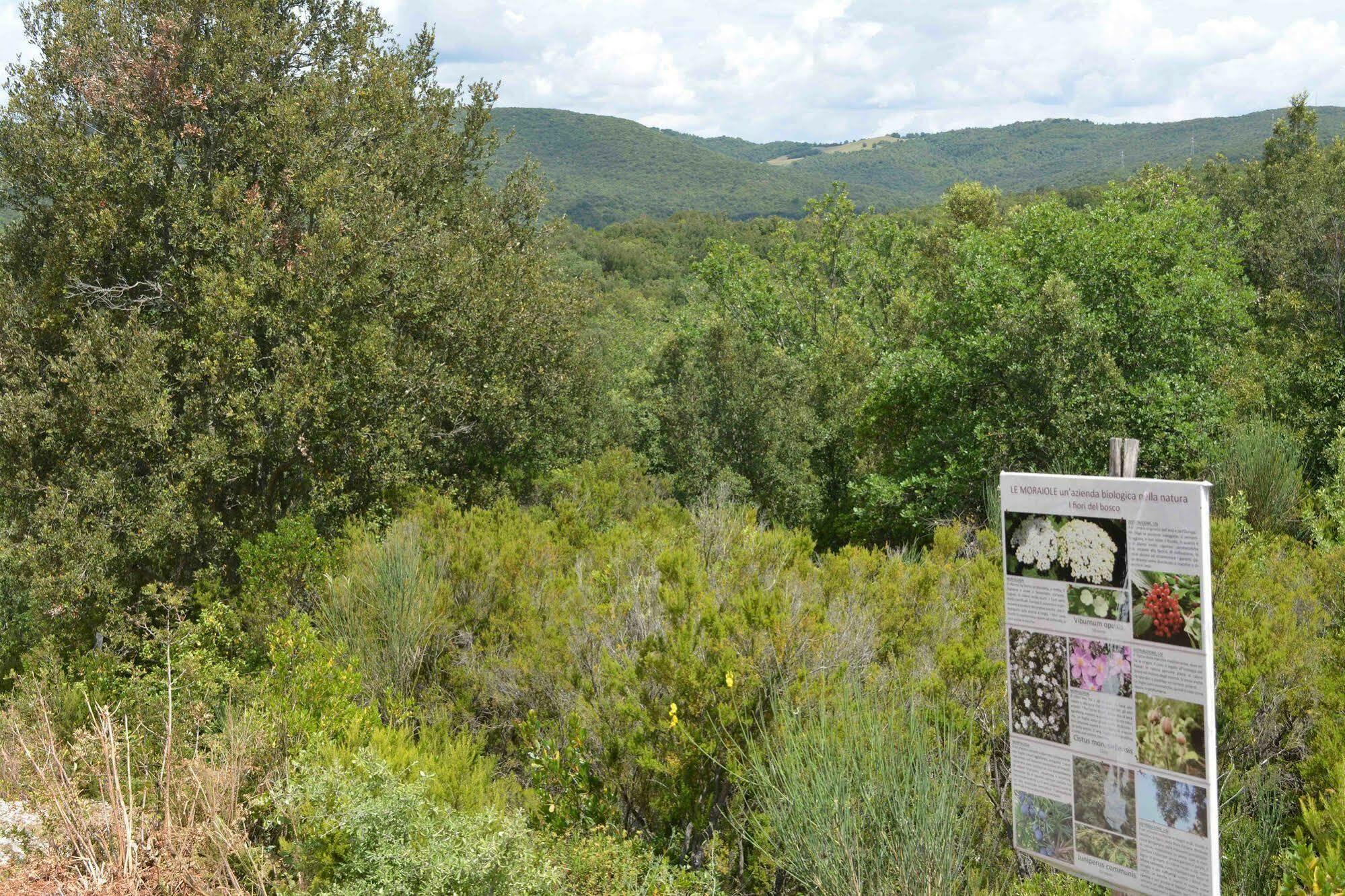 Borgo Le Moraiole Bauernhof